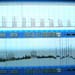 Signali snimljeni na dva kanala sistema za izolovane organe