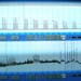 Signals recorded on two channels of the system for isolated organs